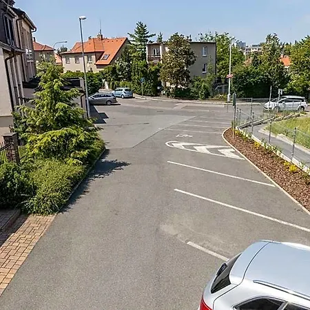 Kanarek