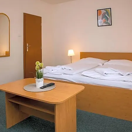 Kanarek Praag