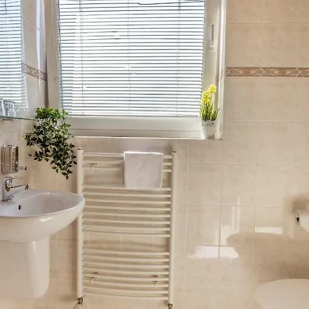 酒店 卡纳里克酒店 3*