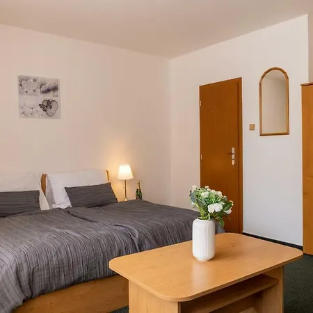 卡纳里克酒店 酒店