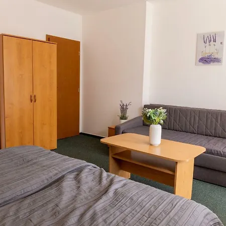 酒店 卡纳里克酒店 3*