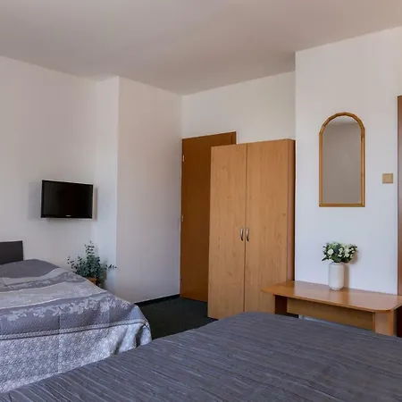 卡纳里克酒店 3* 布拉格